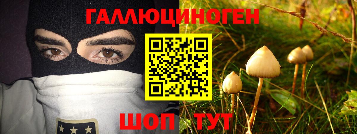 Псилоцибиновые грибы GOLDEN TEACHER  Псилоцибиновые грибы прущие грибы  Тимашёвск  Вход с VPN 