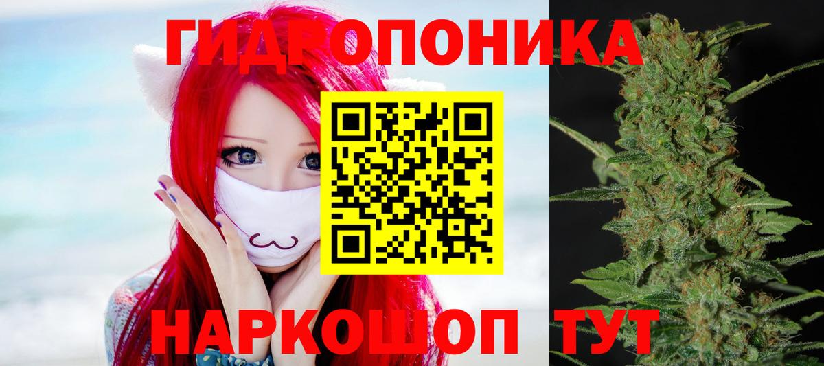 Канабис Bruce Banner  Канабис индика  Тимашёвск  МАРИХУАНА марихуана  Вход с VPN  Канабис LSD WEED 